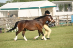 SBM_10588