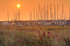 z1852 Sunrise over Norton Spit, Yarmouth