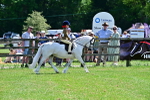 SBM_06425