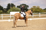 SBM_008799