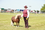 SBM_02023
