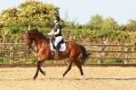 SBM_000553