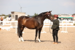 SBM_07047