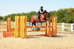 SBM_006915