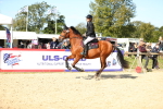 SBM_17853