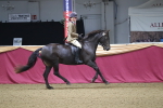 SBM_09322