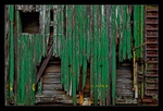 Green Car Side