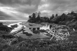 Estuary - Kalaloch Creek