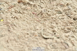 230721A-130915-06469