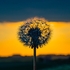 23 18-5230006-Enhanced-NR