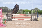 BPP_3954