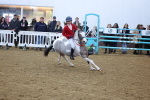 SBM_004040