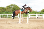 Class 5 - Senior Foxhunter - 1.20m portfolio