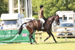 SBM_12982