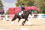 SBM_06206