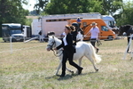 WJ6_7879
