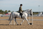 SBM_12160