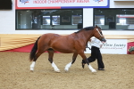SBM_16722