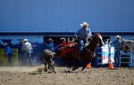 3HRodeo8-11-25_PRCASteer_00954_