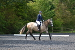 WJ5_9427