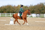 SBM_002594