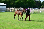 SBM_00956