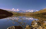 Snowdon Mymber aut snow reflections-tree