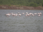 P1100190