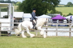 SBM_17177