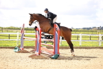 SBM_003395