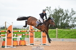 Cls 50 Senior Foxhunter portfolio