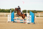 SBM_001981