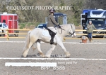 BPP_8586