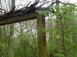 Groombridge portfolio
