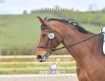 BPP_8902