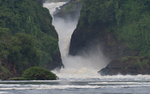 Murchison Falls