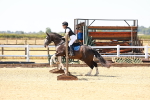SBM_000931