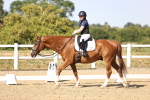 SBM_007528
