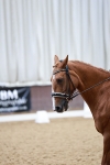 SBM_003253