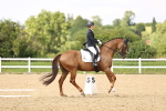 SBM_002873