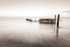 Reflection BW