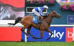 Race 3 15.00pm Sir Kevin Sinfield 7 In 7 Grand Finale Handicap portfolio