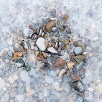 IN ICE - LONG POINT