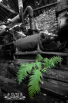 Portfolio 23