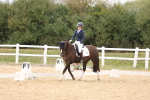 SBM_00807