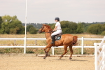 SBM_001121