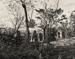 Landscapes portfolio