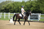 SBM_007365