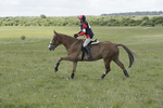 BVHT 140517  IXC -488
