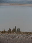 Posts, beach nr Manjushri KMC